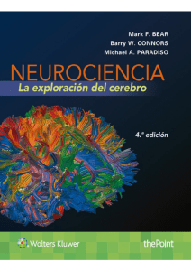 Bear -Neurociencia. La exploración del cerebro