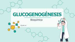 Glucogenogénesis