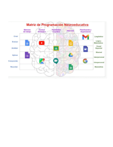 Neuroeducativa