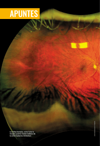 Alzheimer: Detección Temprana a Través de la Retina