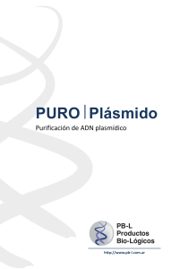 SA01-PURO-Plasmido