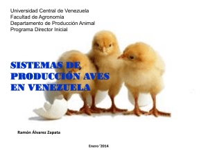 sistema de producción aves en venezuela