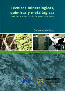 Tecnicas-mineralogicas-quimicas-metalurgicas caracterizacion menas auriferas