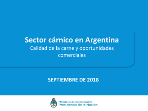 ARGENTINA-Sector-de-Ganados-y-Carnes-2018-DEE-v.f.obt-1