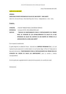 CARTA Nº01-2022  Plan de Trabajo LIBERTADORES