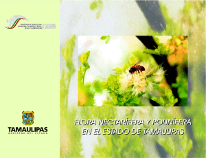 Flora Nectarífera y polinifera Tamaulipas