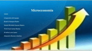 powerpoinMicroeconomia(2)