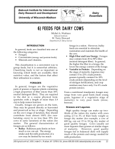 Feeds for Dairy Cows