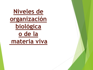2 NIVELES DE ORGANIZACION BIOLOGICA pdf no. 2