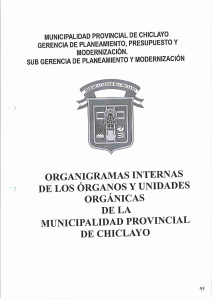 organigrama de SST