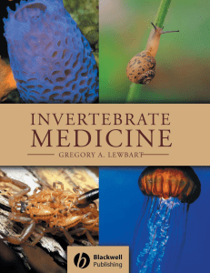 Invertebrate medicine-360p