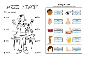 partes del cuerpo