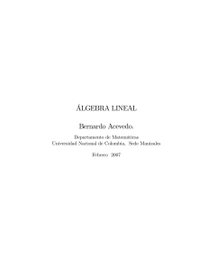 ALGEBRA lINEAL bERNARDO aCEVEDO