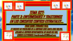 TEMA 927. ESPECIFICACIONES DE LOS CIRCUITOS CORTICO ESTRIATALES TALAMO CORTICALES. 01.02.23. 222222222 33333333