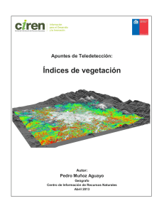 Tema Indices de vegetación, Pedro Muñoz A