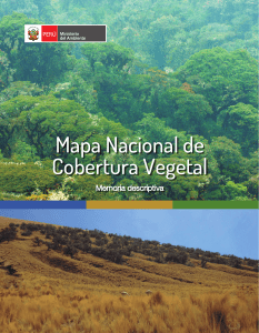 Mapa Nacional de Cobertura Vegetal