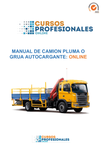 manual-camion-pluma