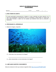 4°-básico-Ciencias-Naturales-Guía-11-María-Fernanda-Vives