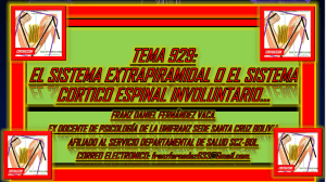 TEMA 929. CAPAS DE LA CORTEZA CEREBRAL Y EL SISTEMA EXTRAPIRAMIDAL O CORTICO ESPINAL INCONCIENTE. 07.03.23. 111111111122222222