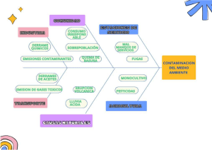 ALTERNATIVAS DE SOLUCION AMBIENTAL