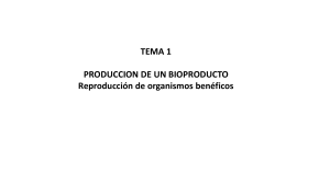 Tema 1. Productos biológicos