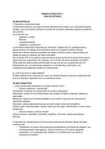 TRABAJO PRÁCTICO 1 de Histología   GUIA DE ESTUDIO 