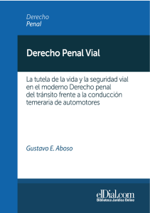 Derecho Penal Vial: Derecho Penal de Tráfico en Argentina