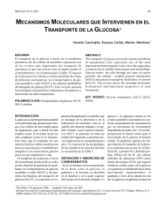 Transporte de glucosa en la membrana celular