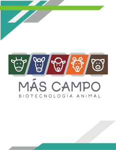 catalogo-mas-campo-isperm