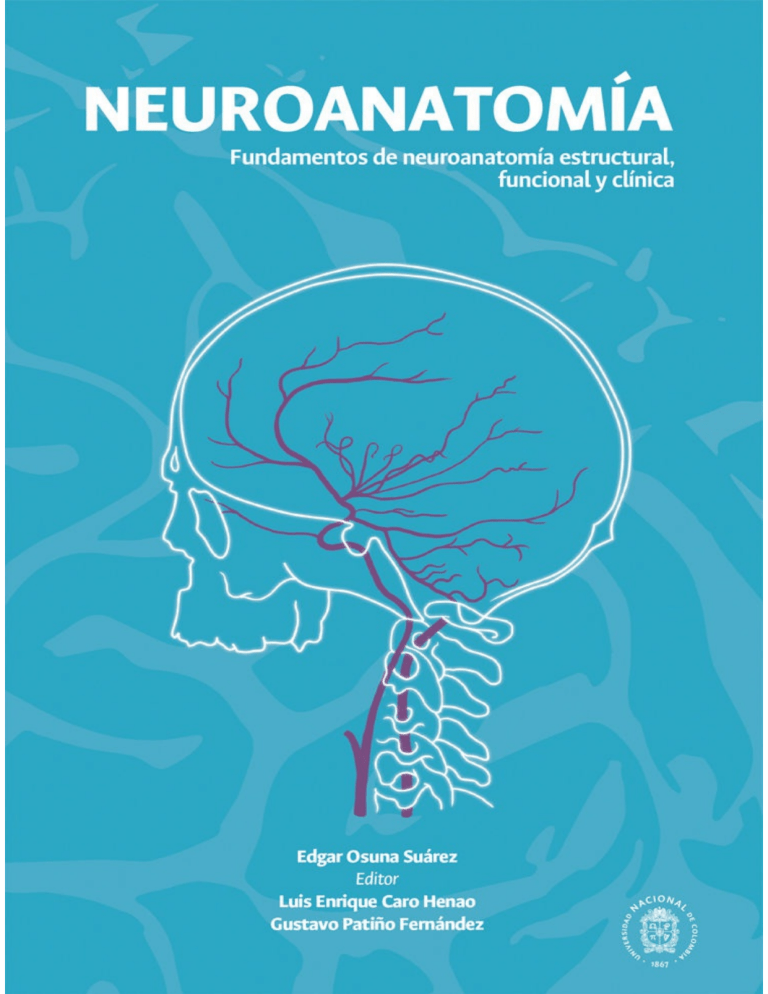 Neuroanatomía. Fundamentos De Neuroanatomía Estructural, Funcional Y ...