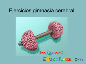 Ejercicios-gimnasia-cerebral