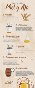 Infografía proceso de fabricación de cerveza ilustración beige 
