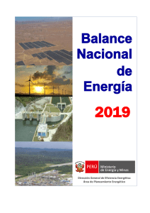 Balance Nacional de la Energía 2019
