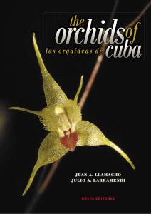 Orquideas