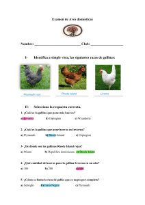 Examen de Aves domesticas