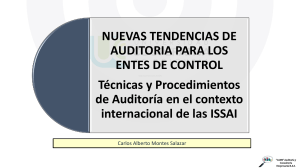 07.TECNICAS Y PROCEDIMIENTOS DE AUDITORIA EN EL CONTEXTO INTERNACIONAL DE LAS ISSAI