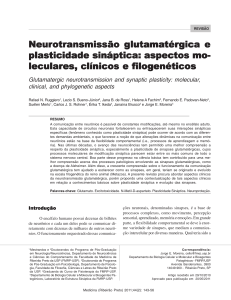 Neurotransmissão glutamatérgica e plasticidade sináptica