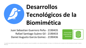 30 Desarrollos tecnológicos de la biomimetica