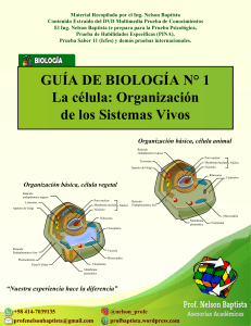 Guía resumen de Biología
