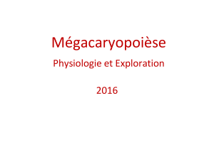 Megacaryopoièse  2016