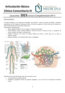 3- Lectura Complementaria. Leucocitos