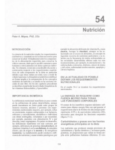 HARPER Nutrición - Digestión y absroción