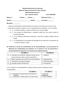 Clave Del Examen Teórico De MFH I - Curso 2008-2009 Batería 3