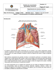 Guia # 7 - Sistema cardiovascular 2.1