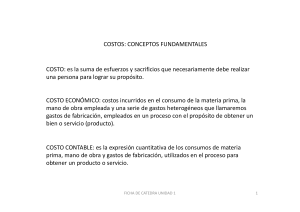Ficha de catedra Unidad 1 COSTOS