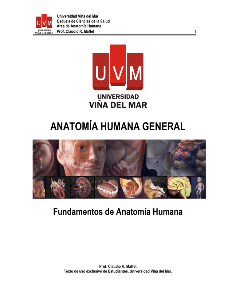 ANATOMIA GENERAL HUMANA