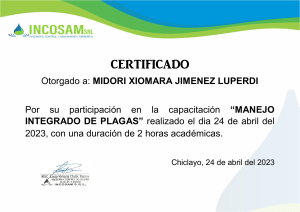 CAPACITACION MIP