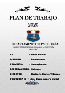 PLAN DE TRABAJO- psicologo..Marzo-Diciembre 2020. EFRAIN