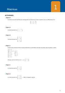 Solucionario-TEMA-1-Matrices