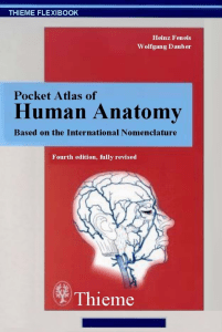 [medicina] pocket atlas of human anatomy (feneis, thieme 2000)
